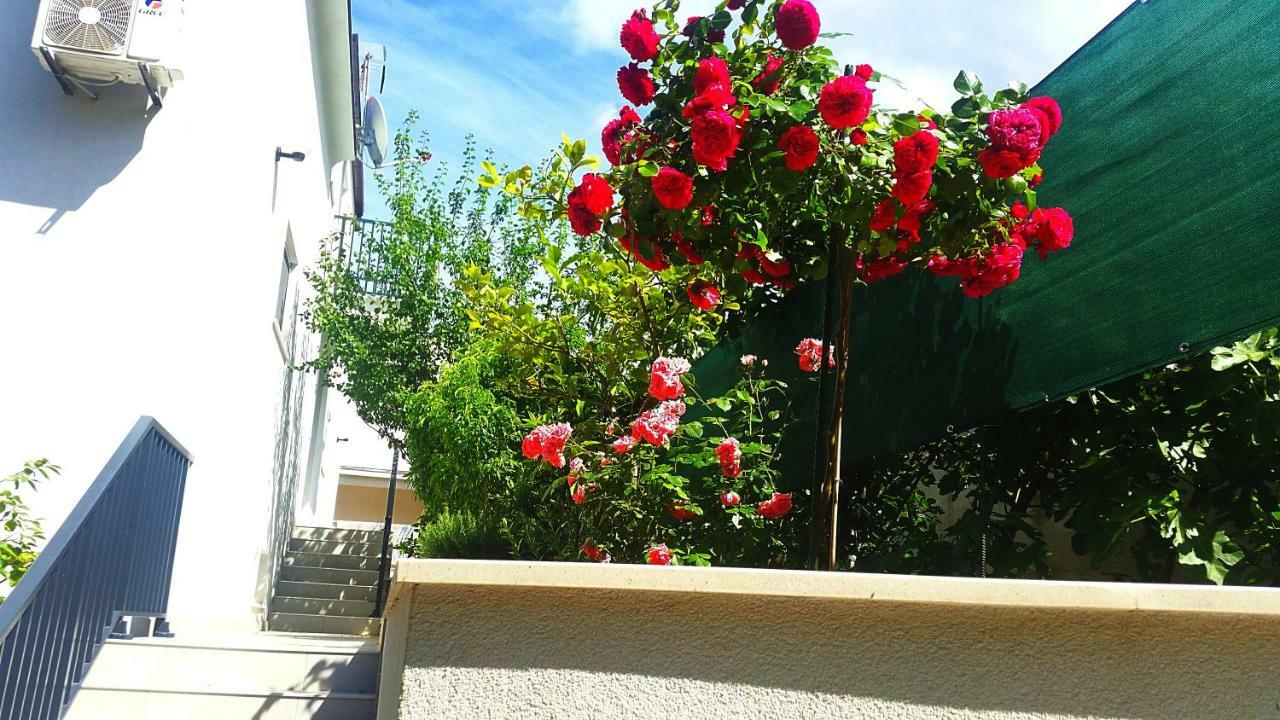 Adriatic Pearl Korcula Apartments Korcula Town Exterior photo